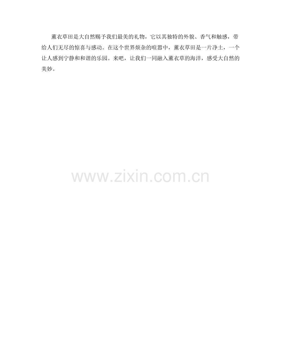 飞舞的薰衣草田.docx_第2页