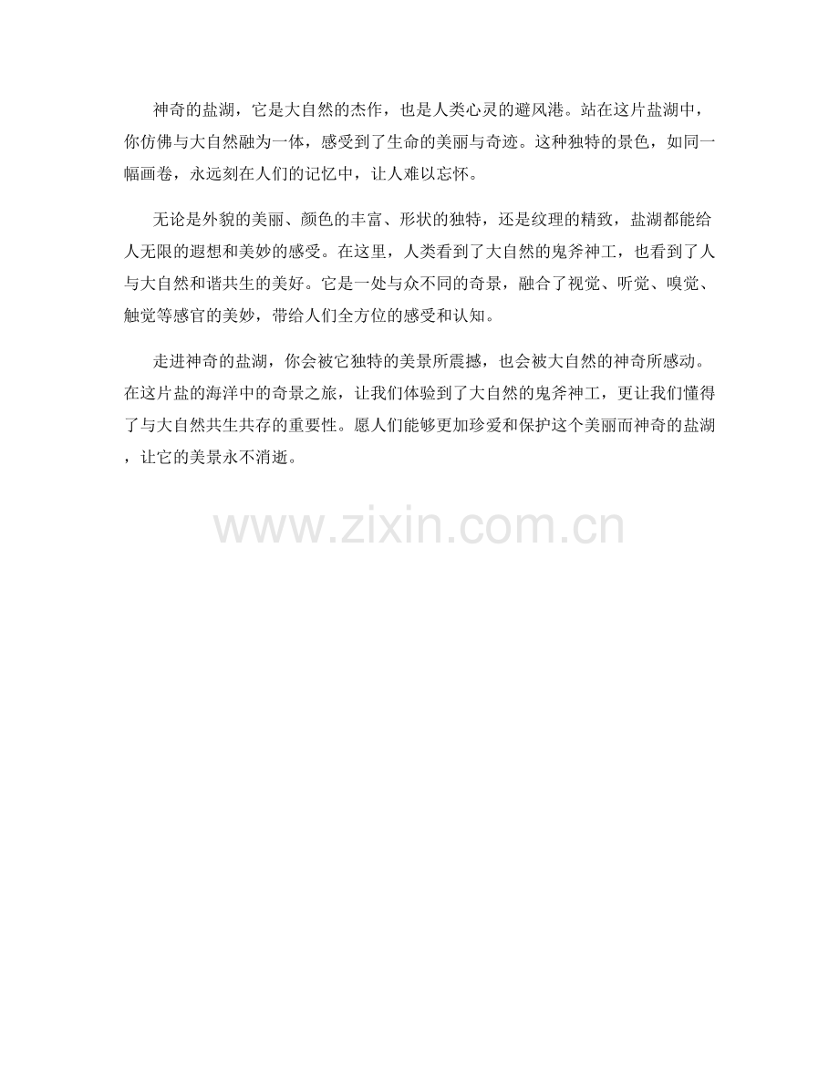 神奇的盐湖：盐的海洋中的奇景之旅.docx_第2页