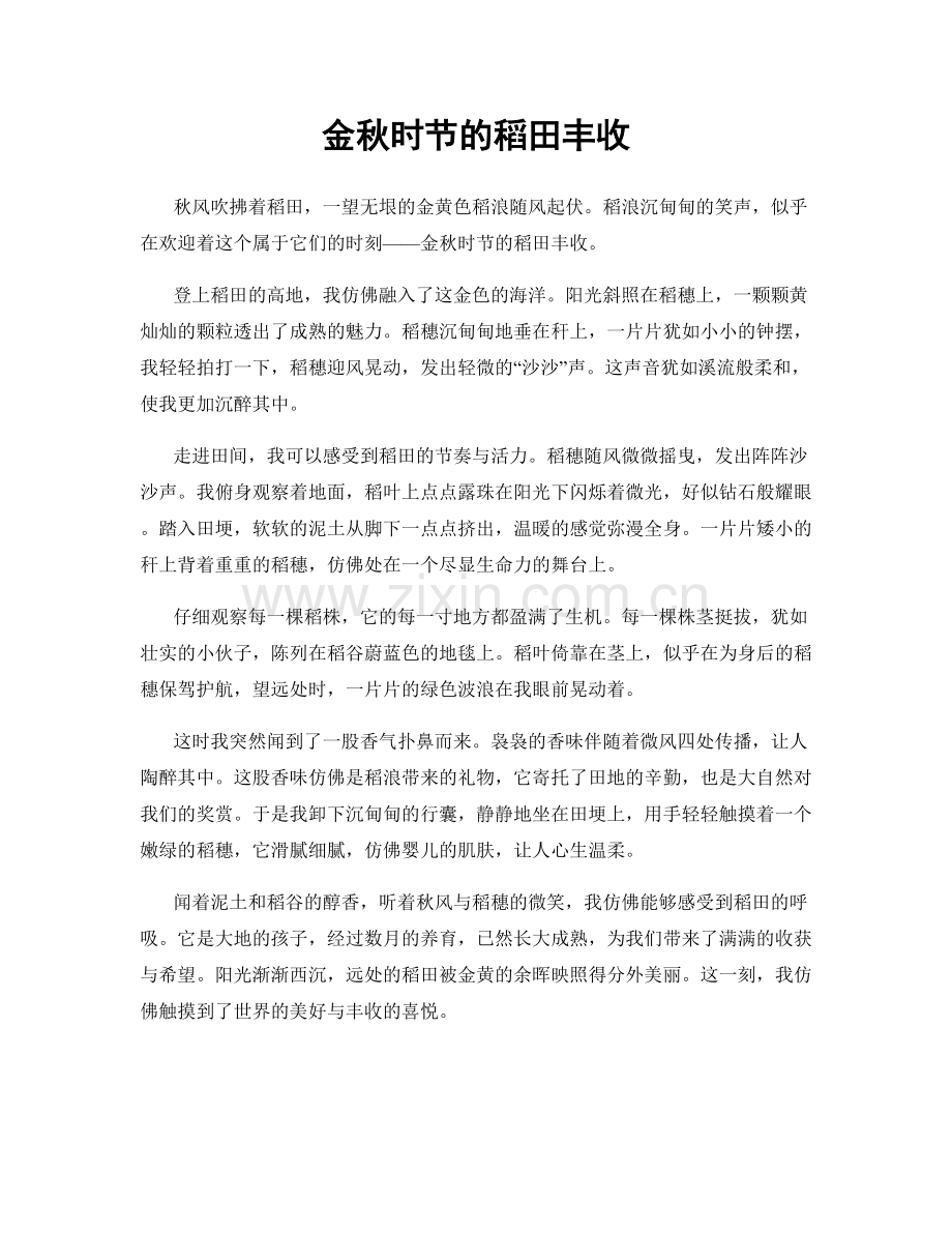 金秋时节的稻田丰收.docx_第1页