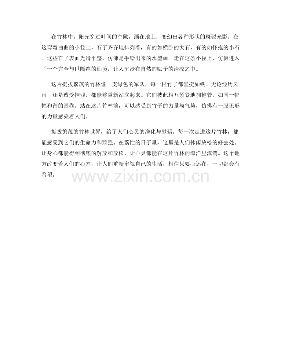 挺拔繁茂的竹林世界.docx_第2页