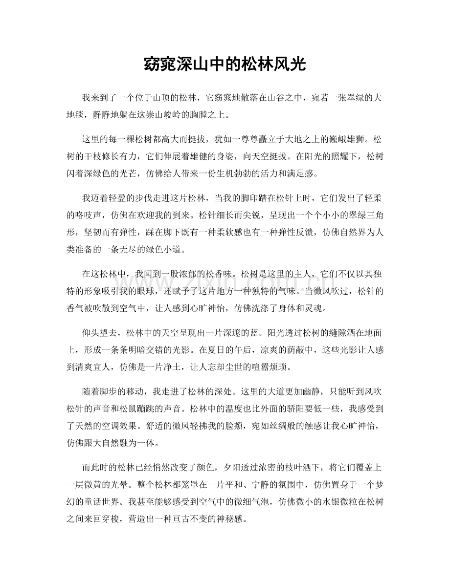 窈窕深山中的松林风光.docx_第1页