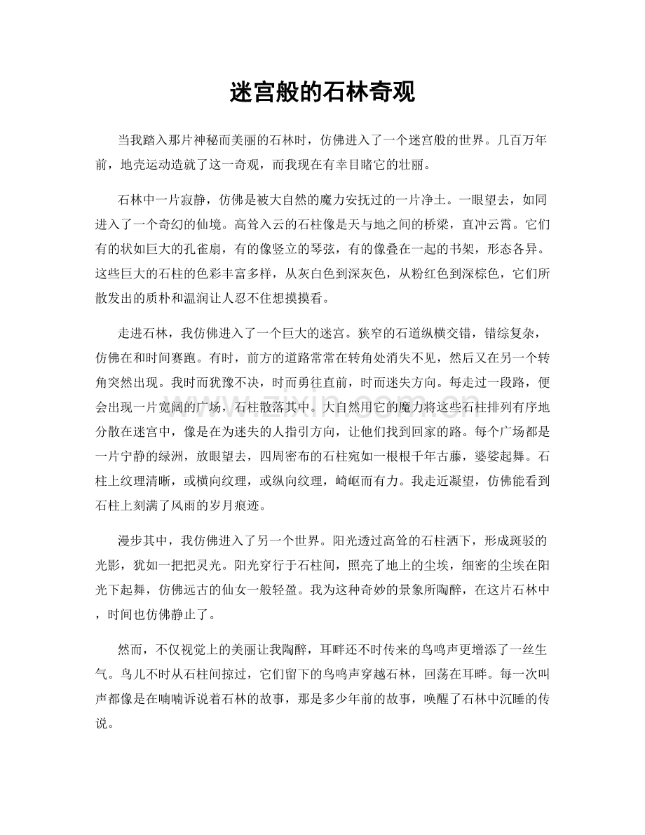 迷宫般的石林奇观.docx_第1页