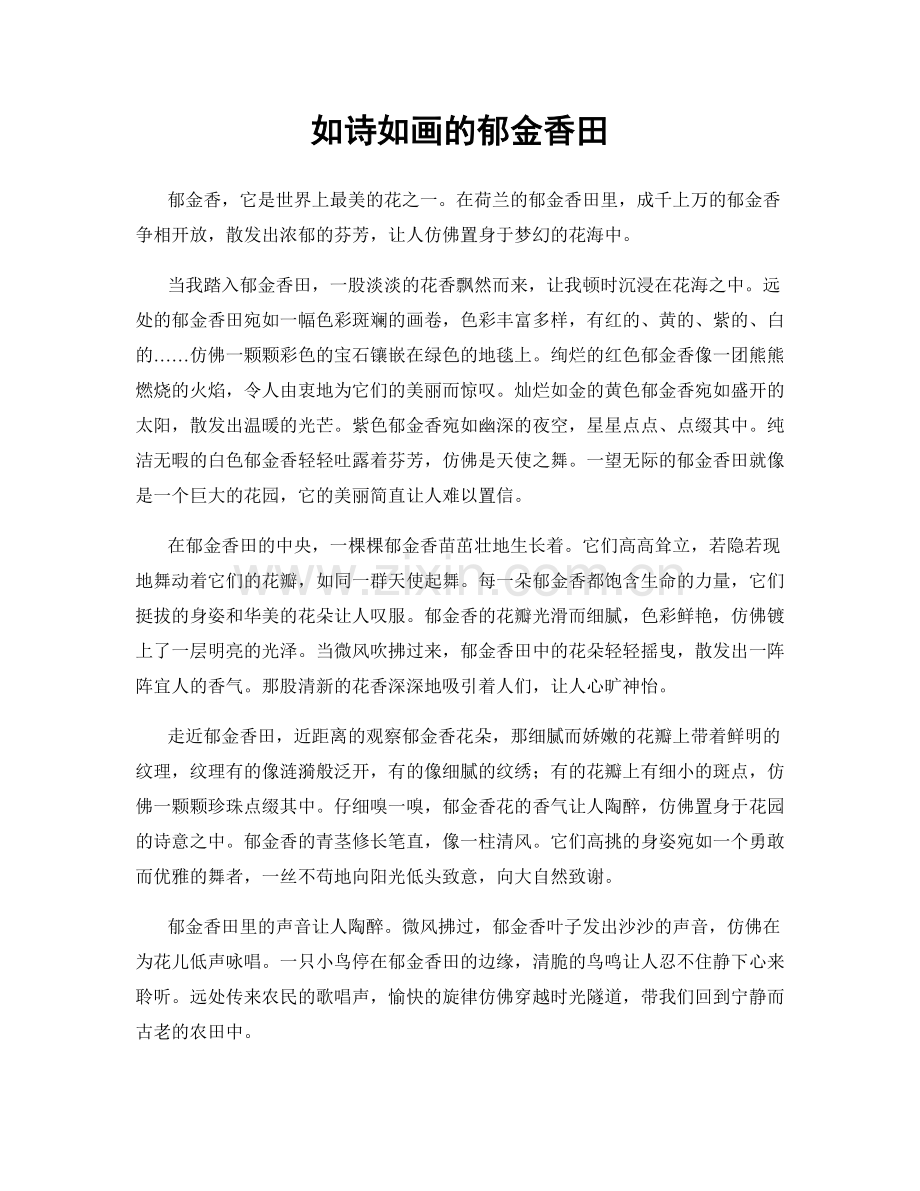 如诗如画的郁金香田.docx_第1页