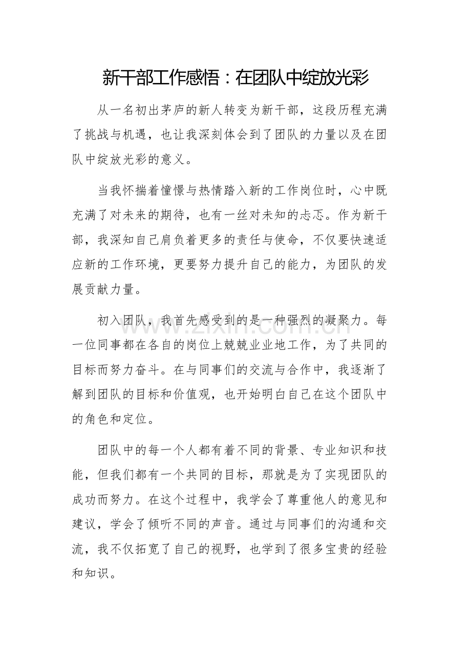 新干部工作感悟：在团队中绽放光彩.docx_第1页