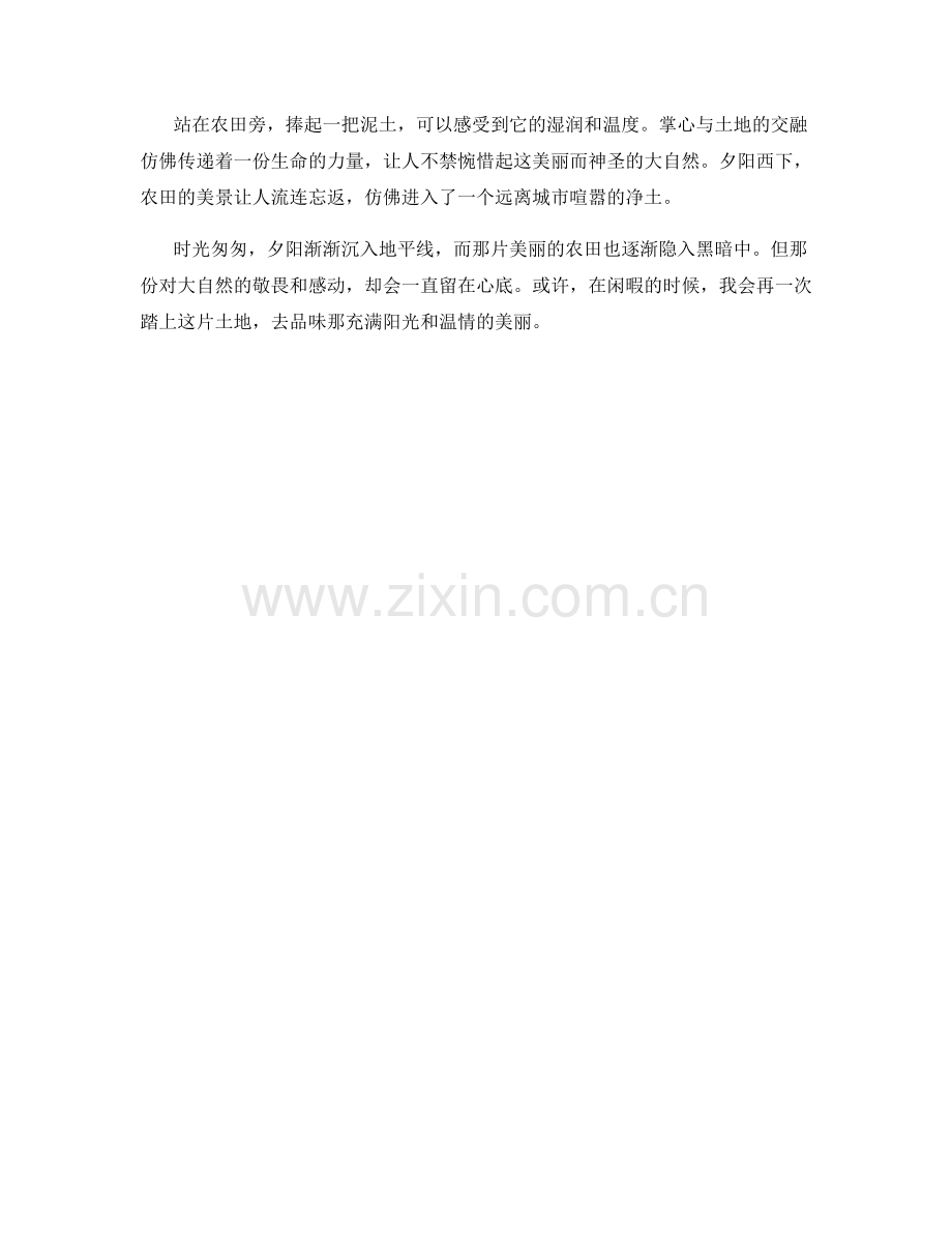 夕阳西下的农田.docx_第2页
