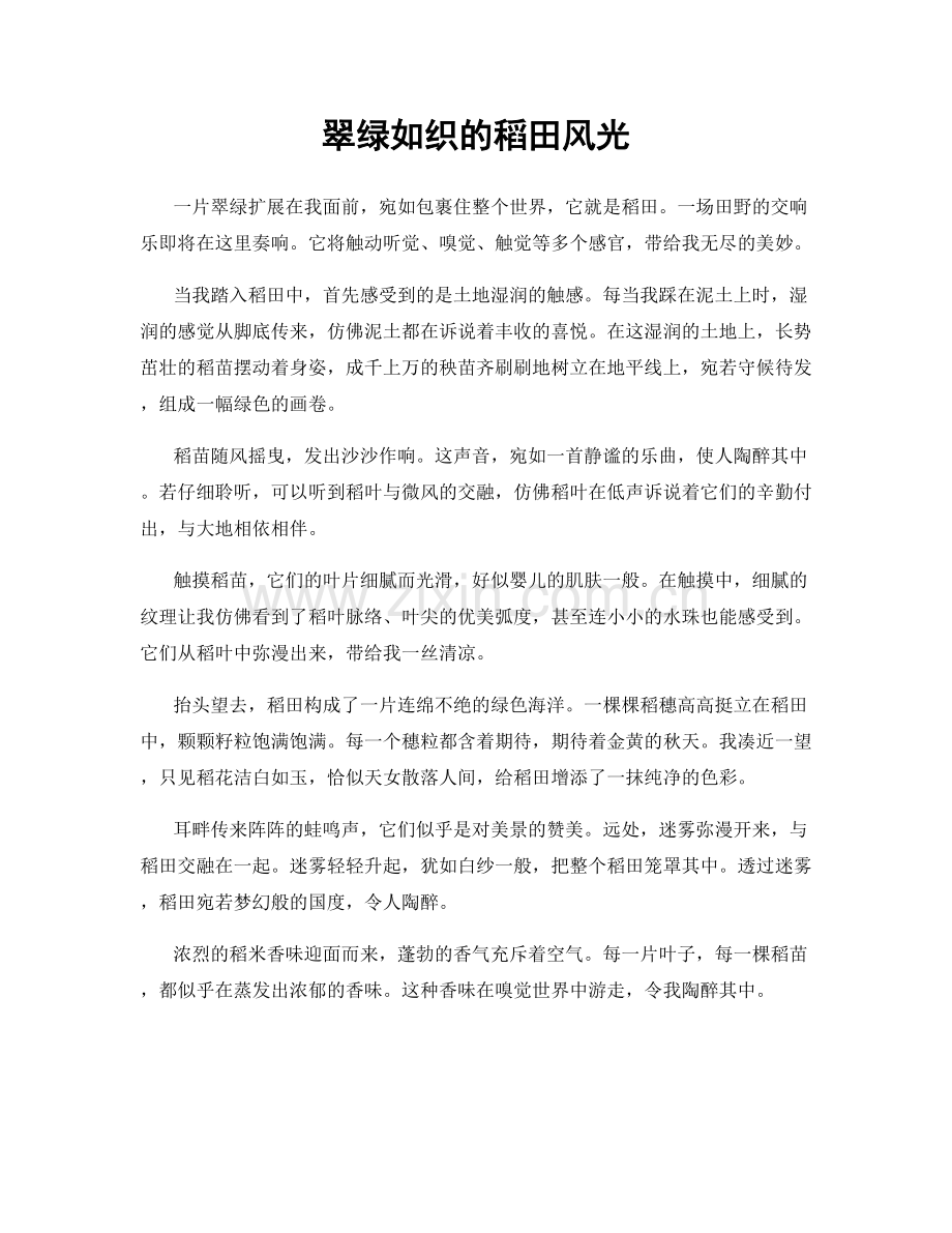 翠绿如织的稻田风光.docx_第1页