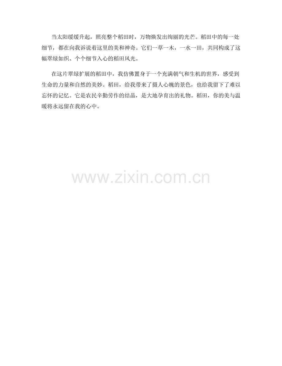 翠绿如织的稻田风光.docx_第2页