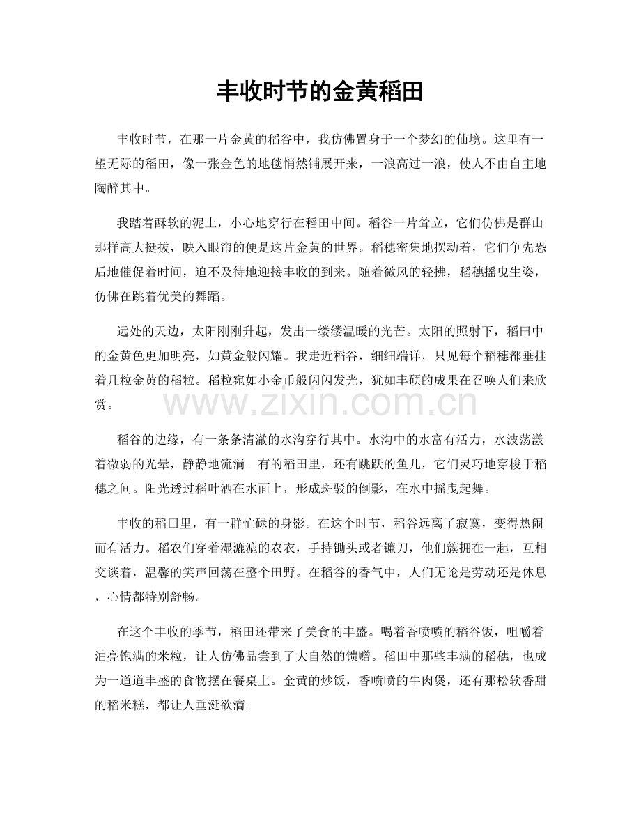 丰收时节的金黄稻田.docx_第1页