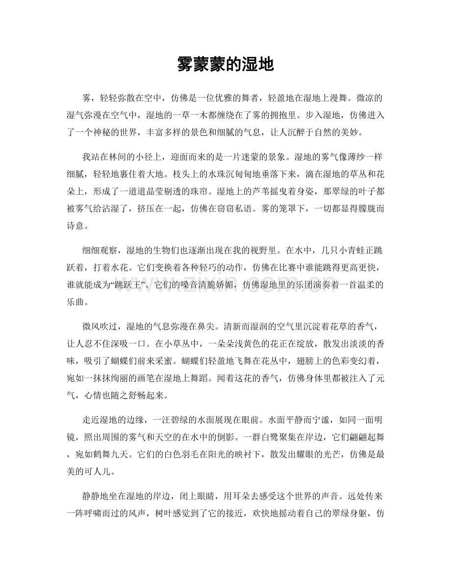 雾蒙蒙的湿地.docx_第1页