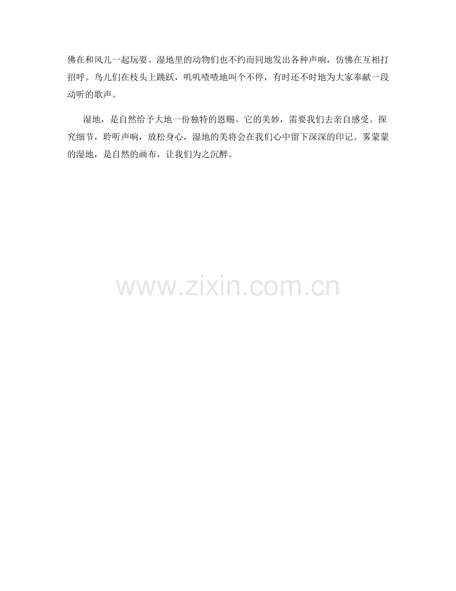 雾蒙蒙的湿地.docx_第2页