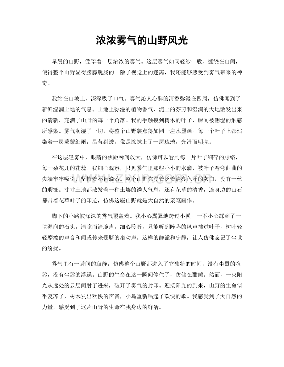 浓浓雾气的山野风光.docx_第1页