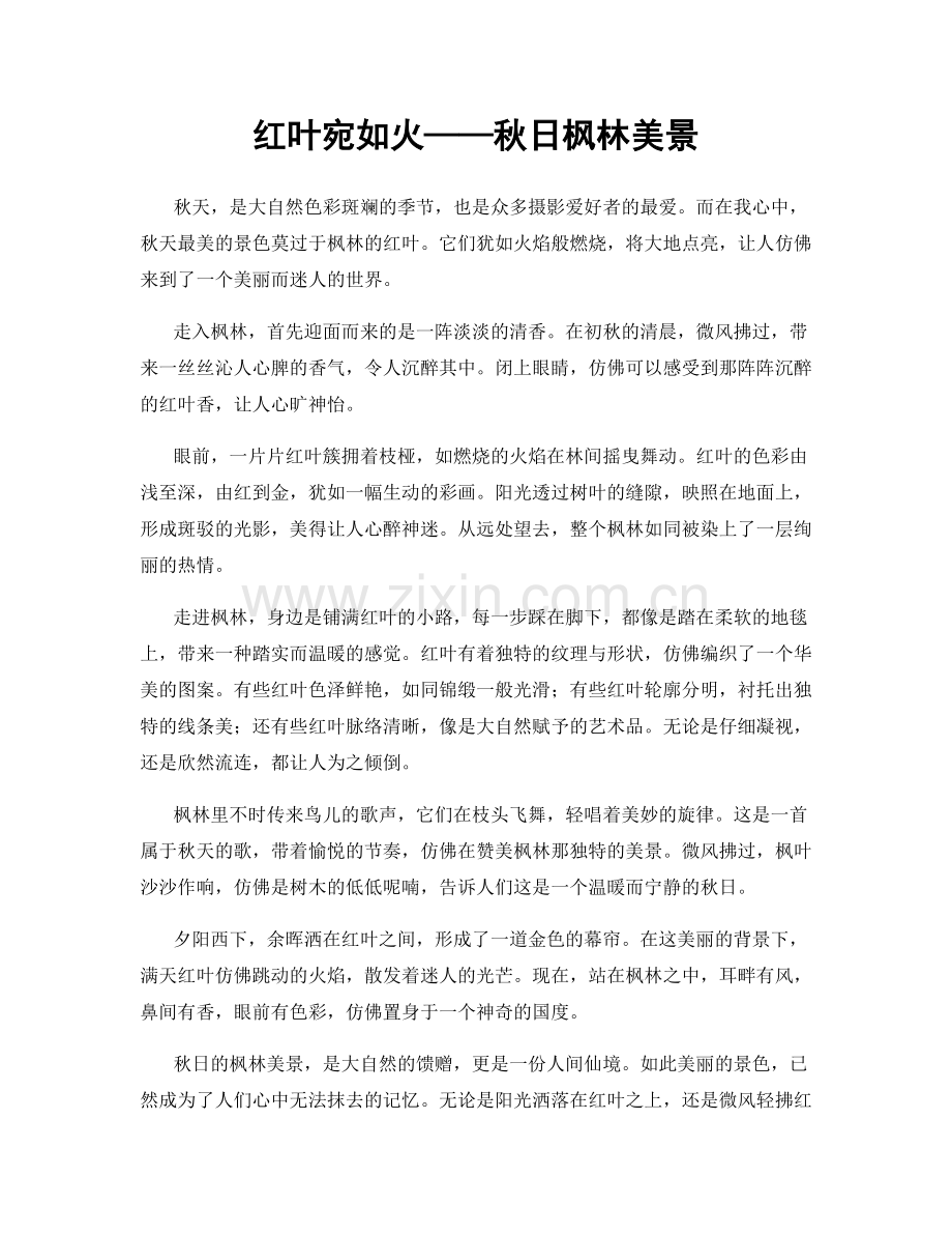 红叶宛如火——秋日枫林美景.docx_第1页