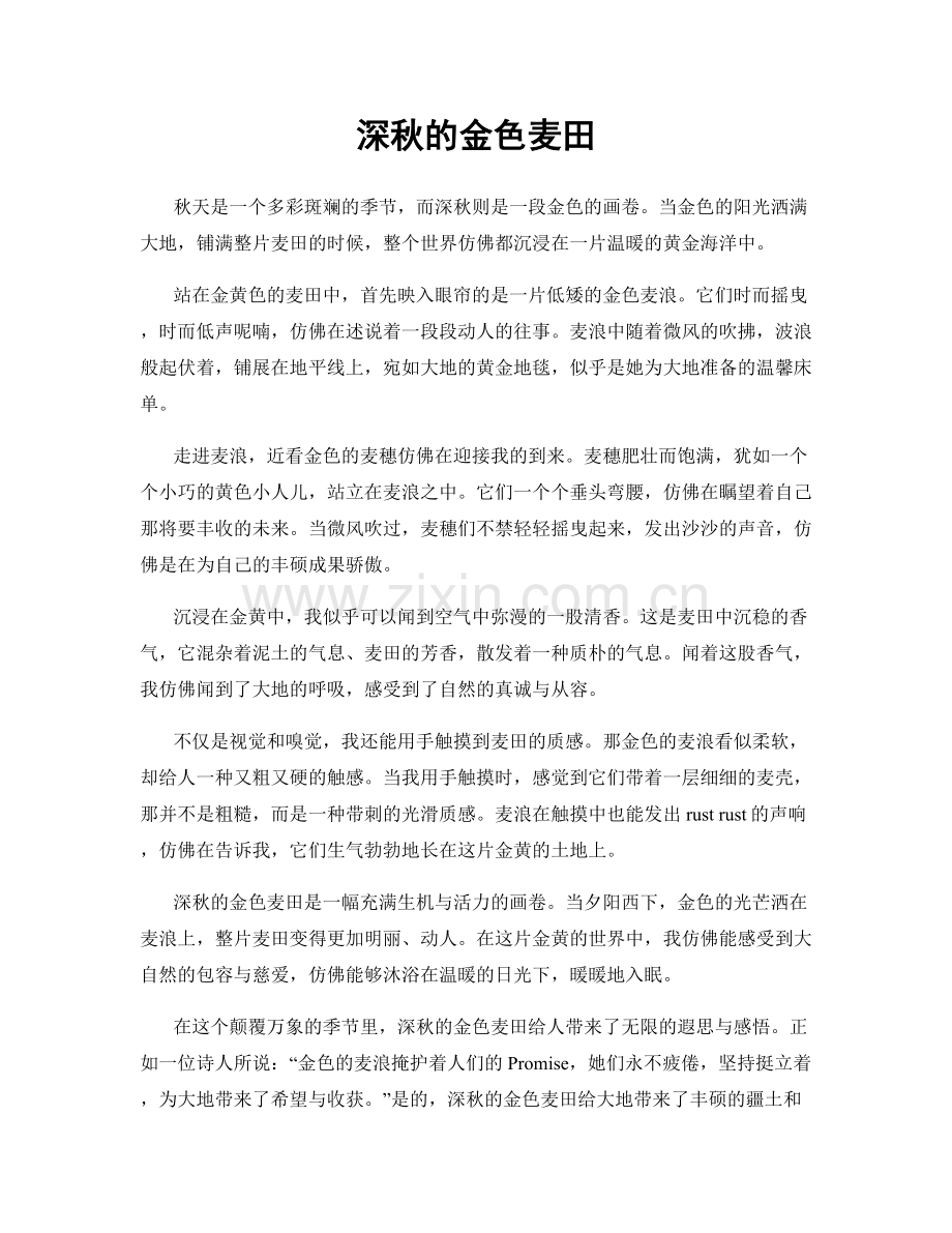 深秋的金色麦田.docx_第1页