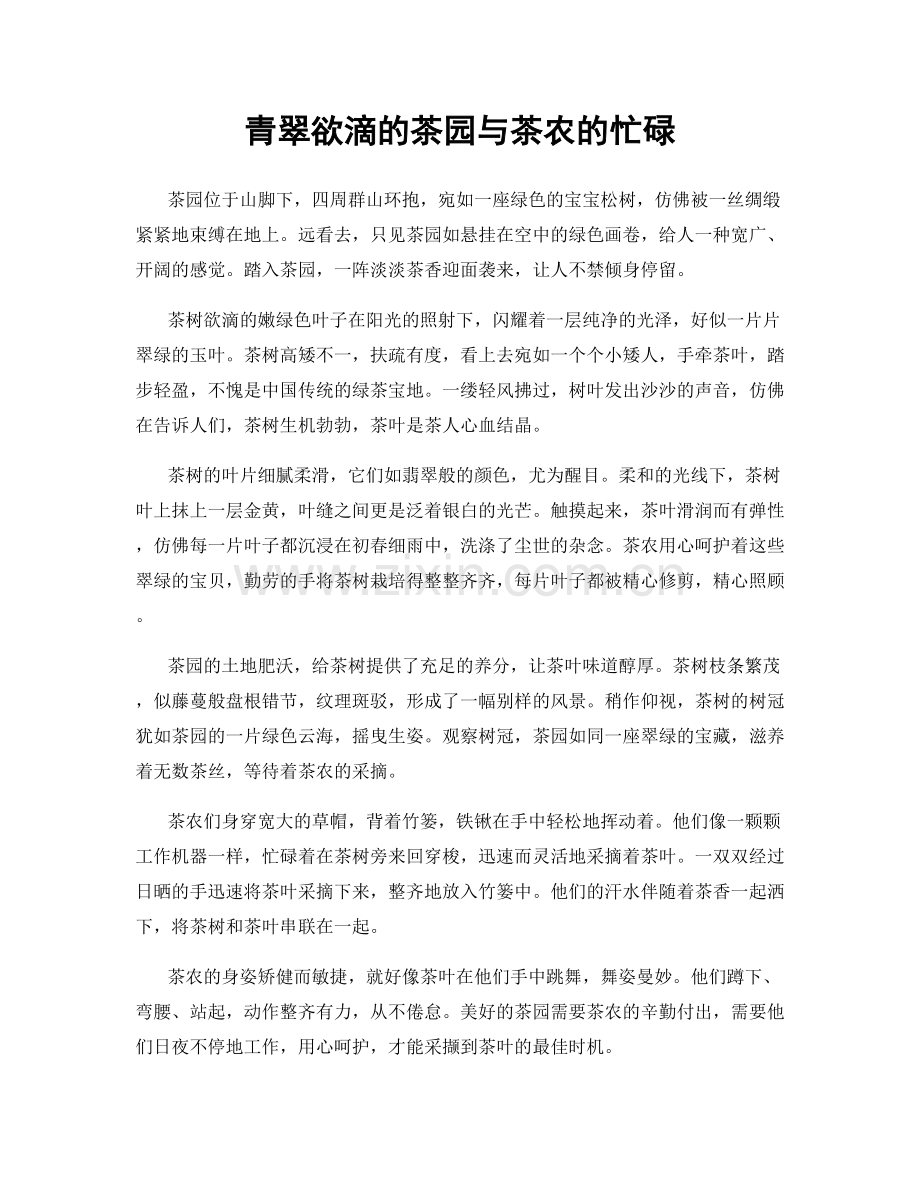 青翠欲滴的茶园与茶农的忙碌.docx_第1页