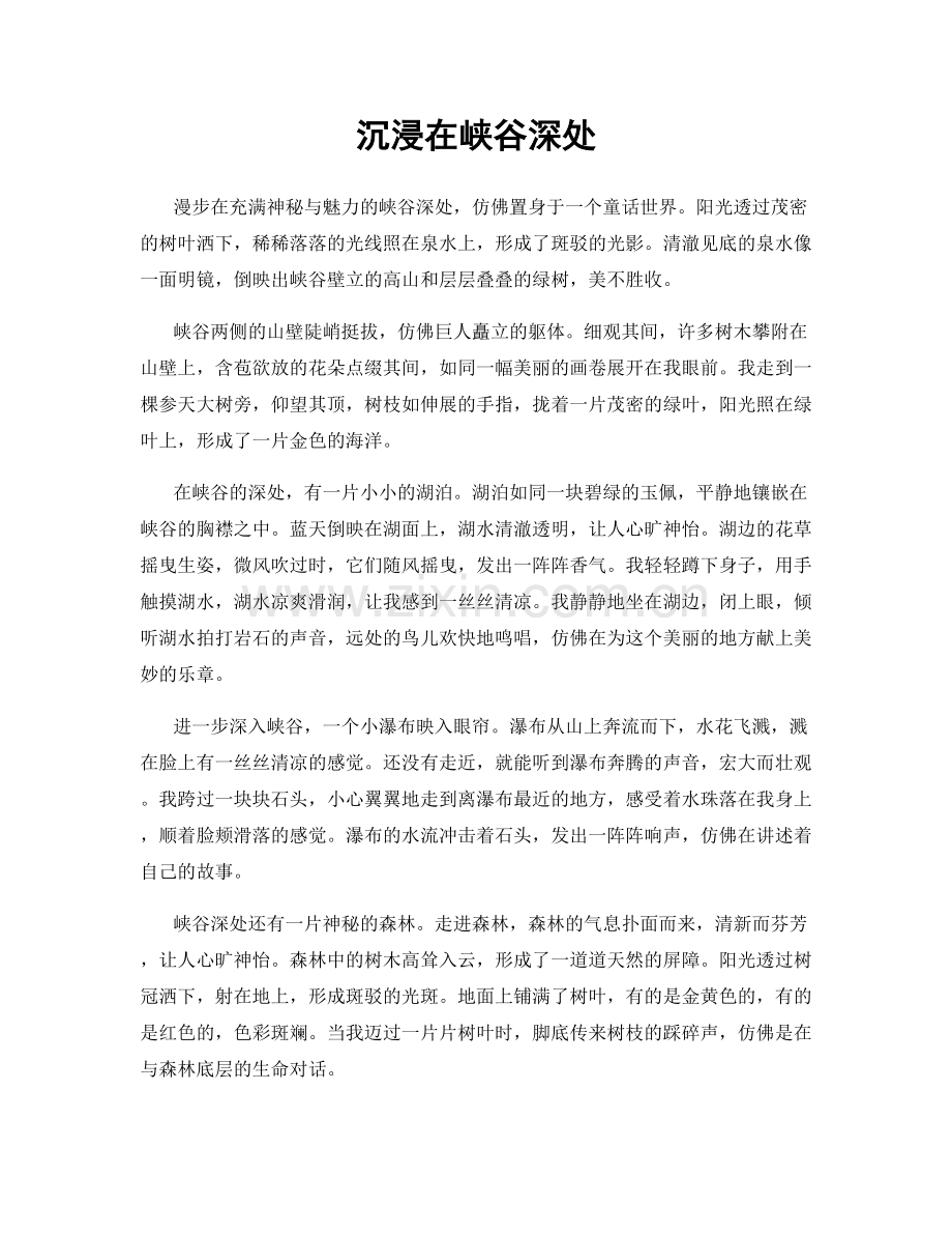 沉浸在峡谷深处.docx_第1页