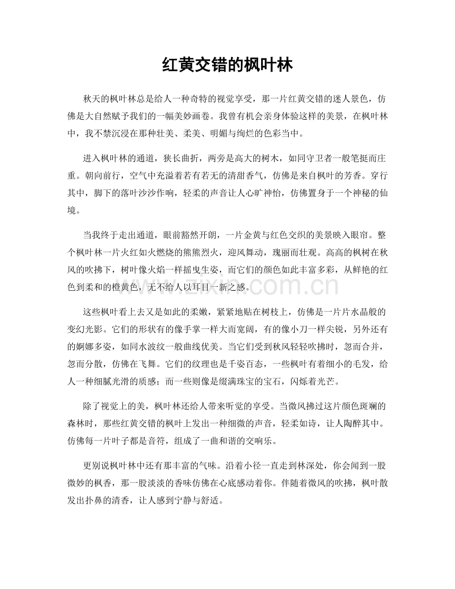 红黄交错的枫叶林.docx_第1页