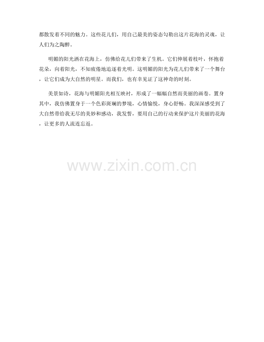 多姿多彩的花海与明媚阳光.docx_第2页