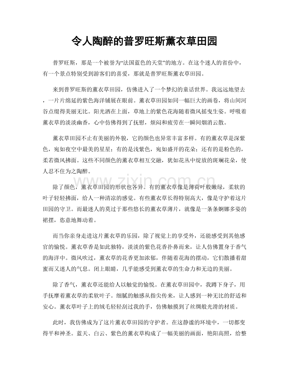 令人陶醉的普罗旺斯薰衣草田园.docx_第1页