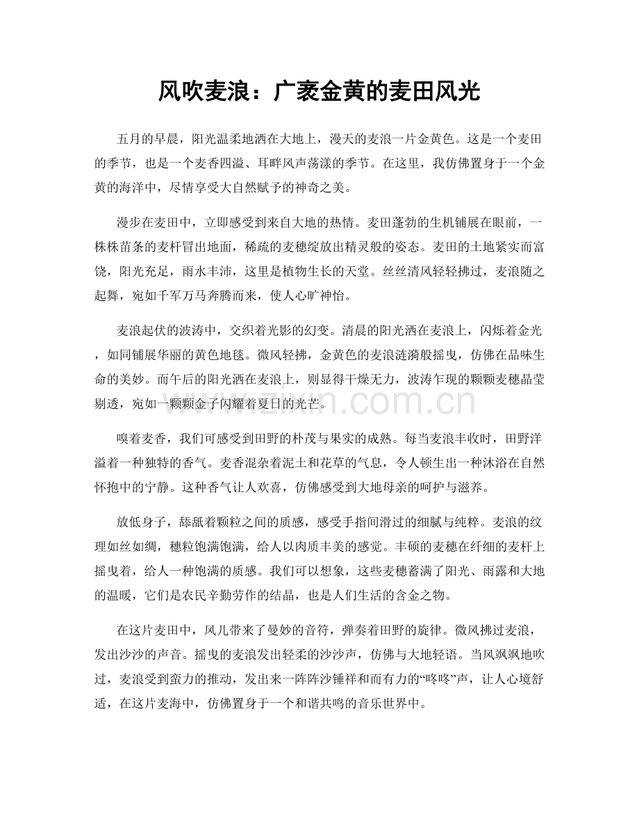 风吹麦浪：广袤金黄的麦田风光.docx_第1页