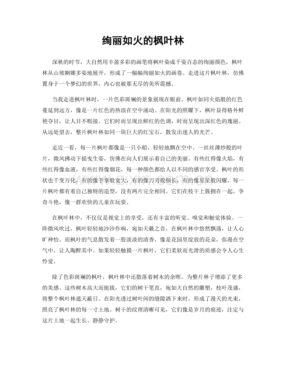 绚丽如火的枫叶林.docx_第1页