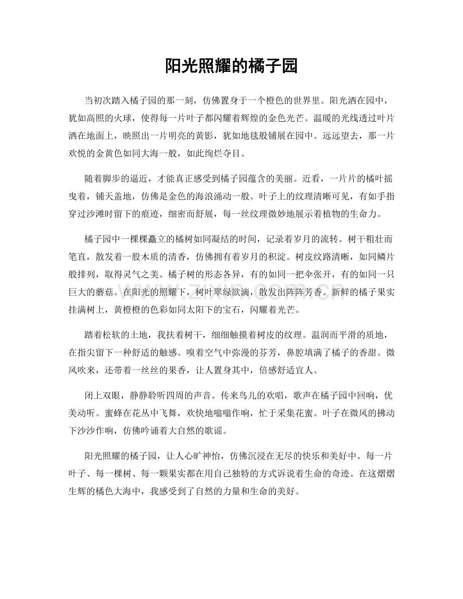 阳光照耀的橘子园.docx_第1页