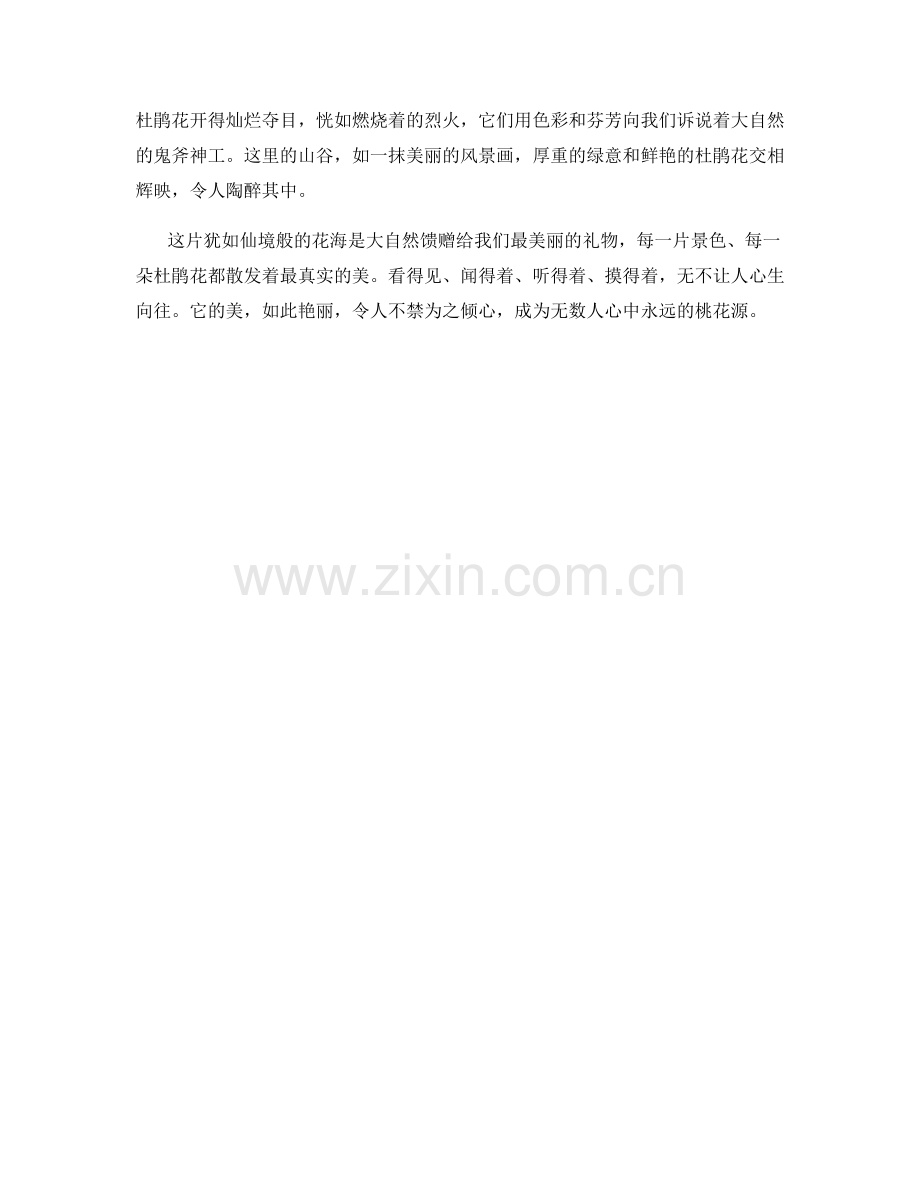 灿烂如火的杜鹃花海.docx_第2页