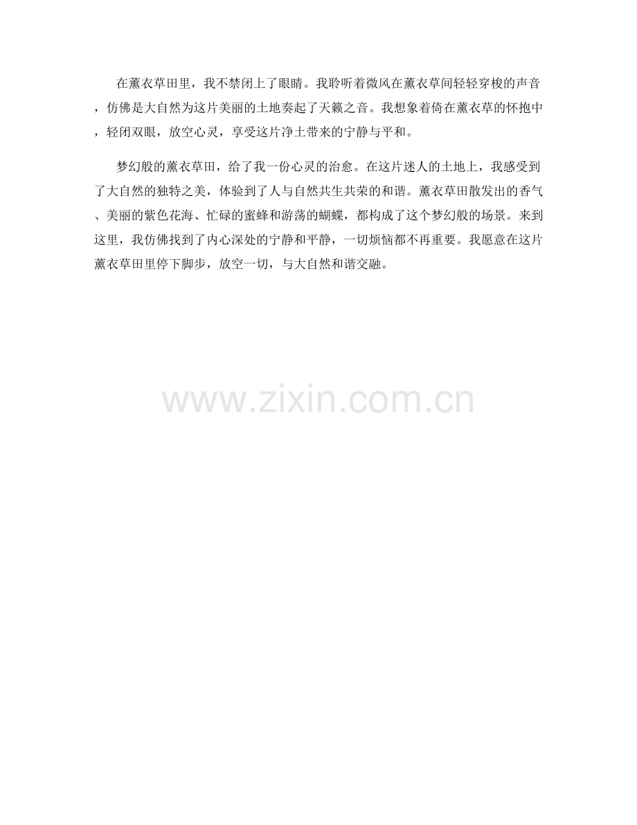 梦幻般的薰衣草田.docx_第2页