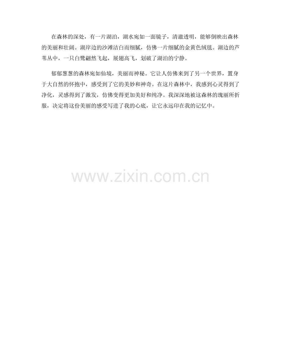 郁郁葱葱的森林宛如仙境.docx_第2页