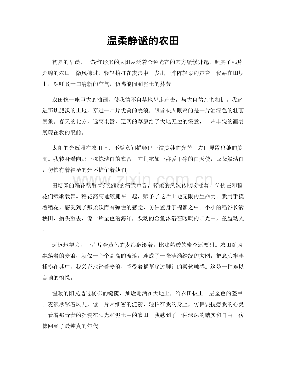 温柔静谧的农田.docx_第1页