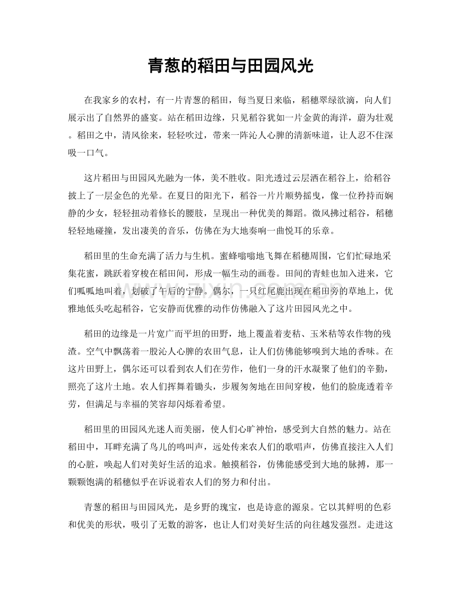 青葱的稻田与田园风光.docx_第1页