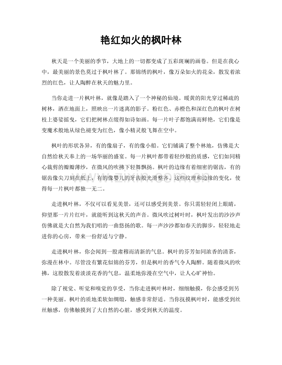 艳红如火的枫叶林.docx_第1页
