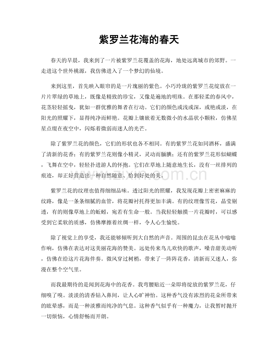 紫罗兰花海的春天.docx_第1页