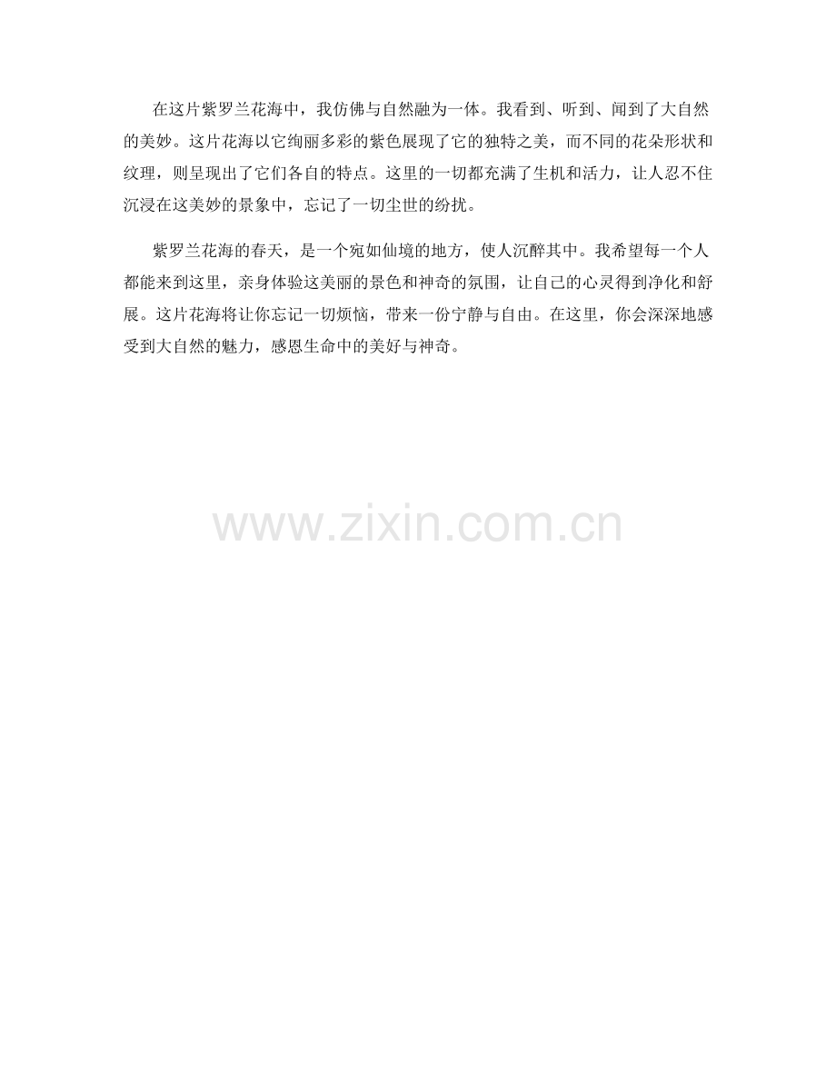紫罗兰花海的春天.docx_第2页