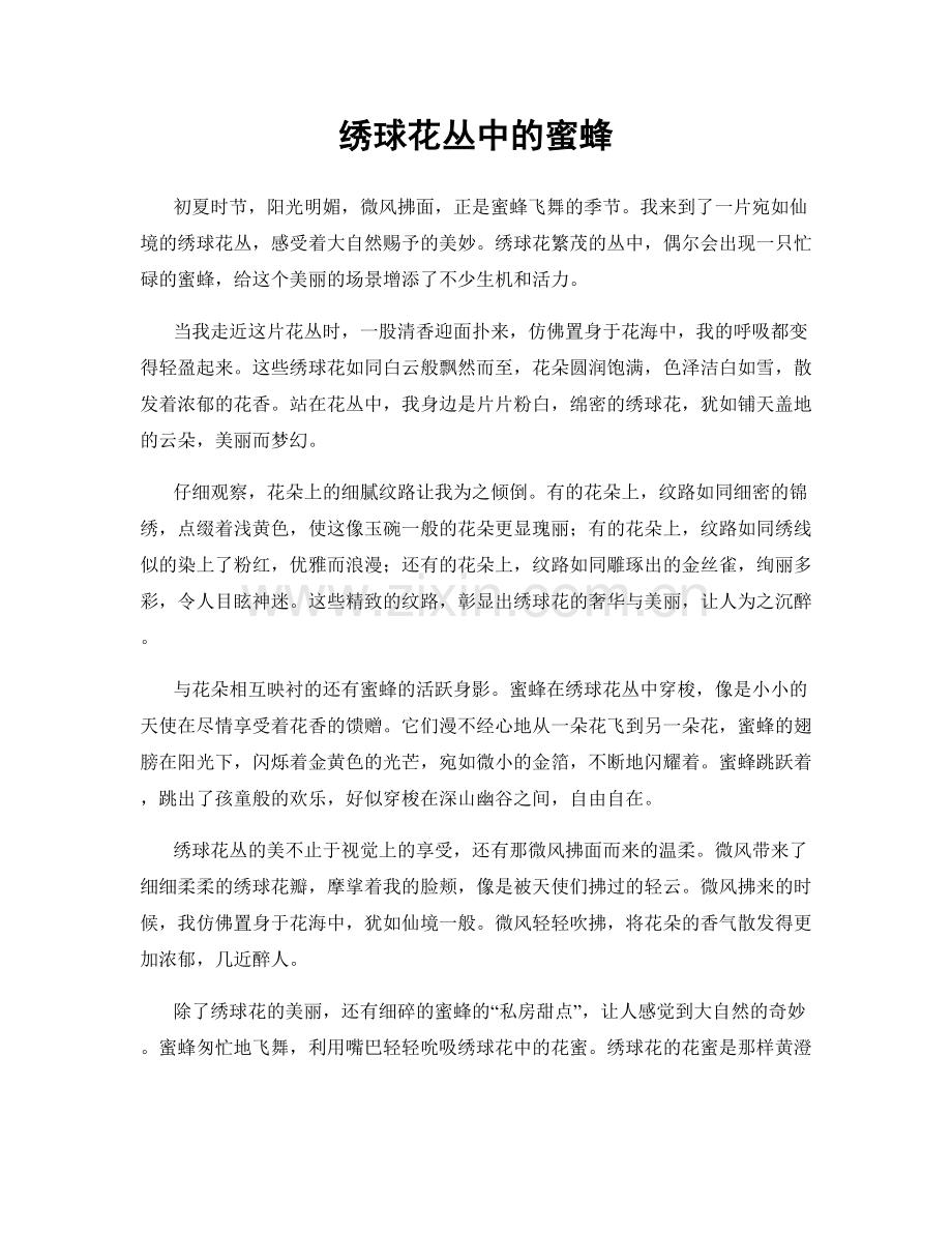 绣球花丛中的蜜蜂.docx_第1页