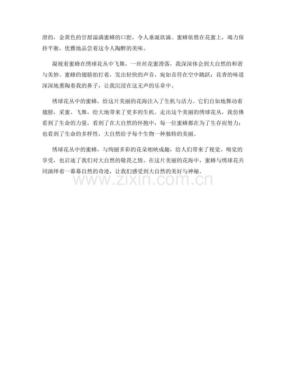 绣球花丛中的蜜蜂.docx_第2页