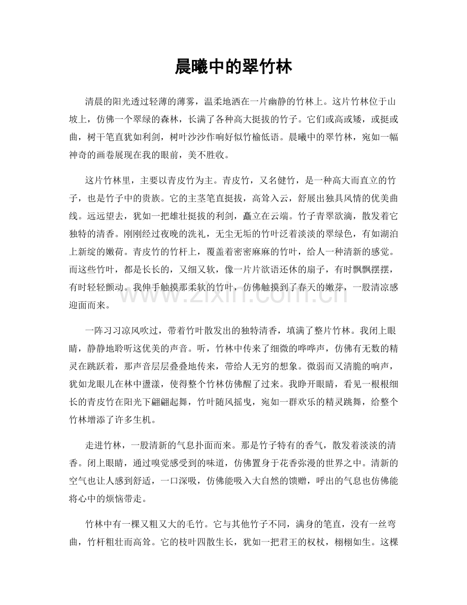晨曦中的翠竹林.docx_第1页