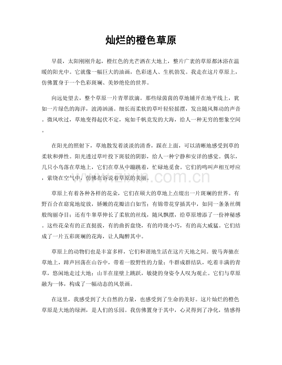 灿烂的橙色草原.docx_第1页