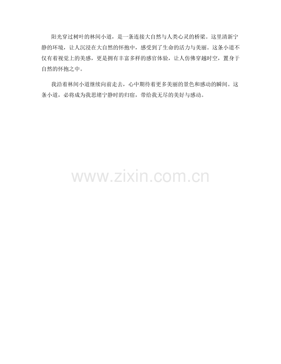 阳光穿过树叶的林间小道.docx_第2页