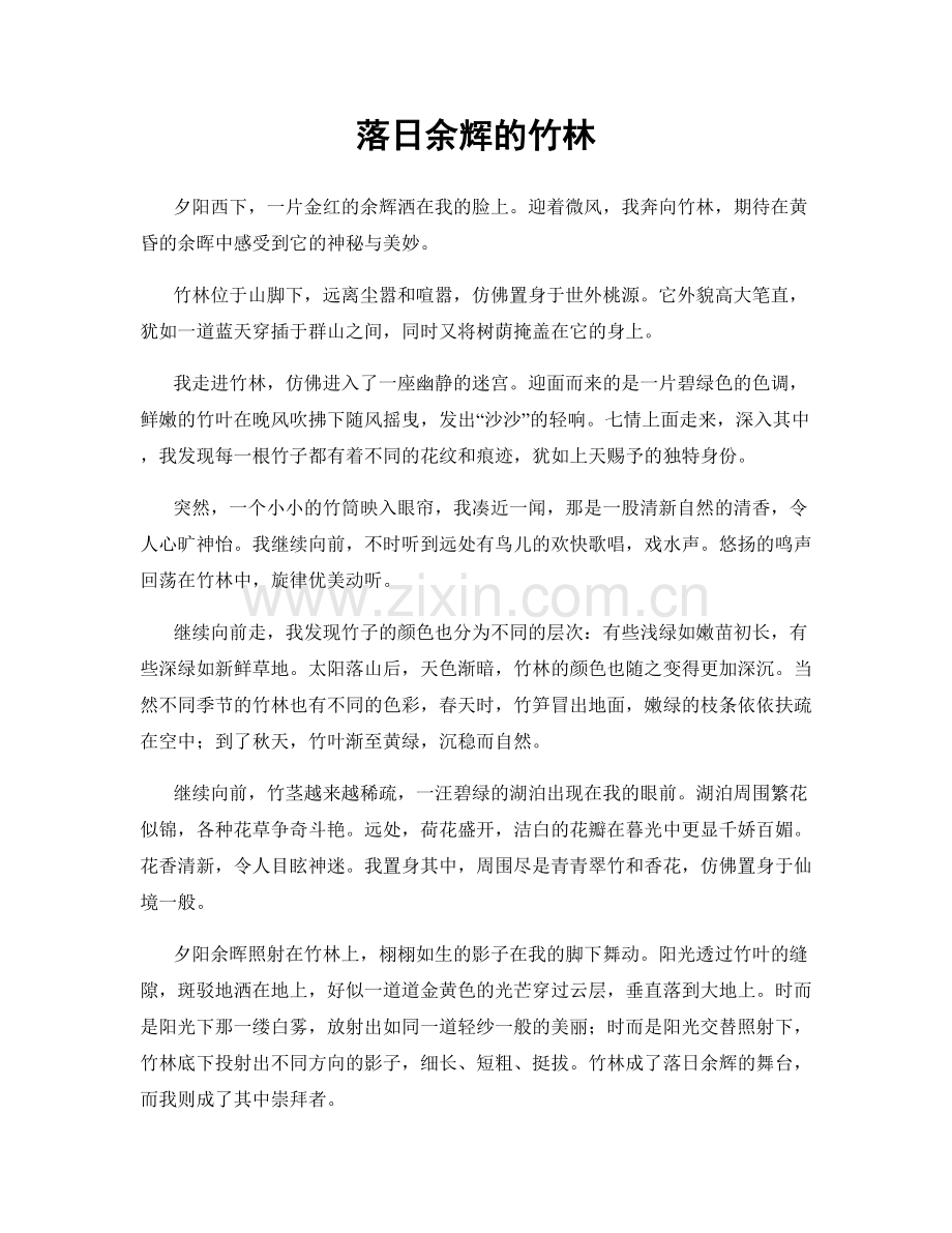 落日余辉的竹林.docx_第1页