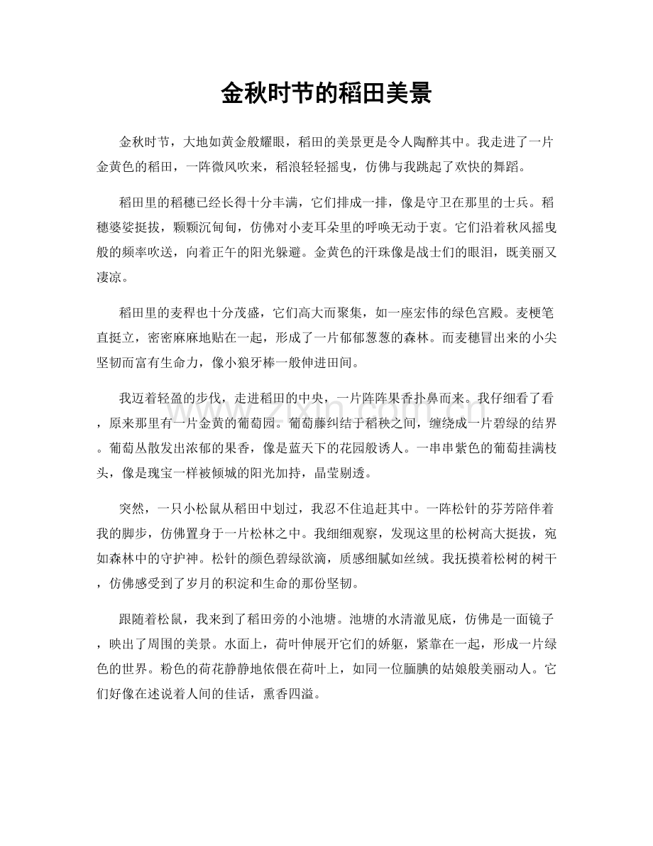 金秋时节的稻田美景.docx_第1页