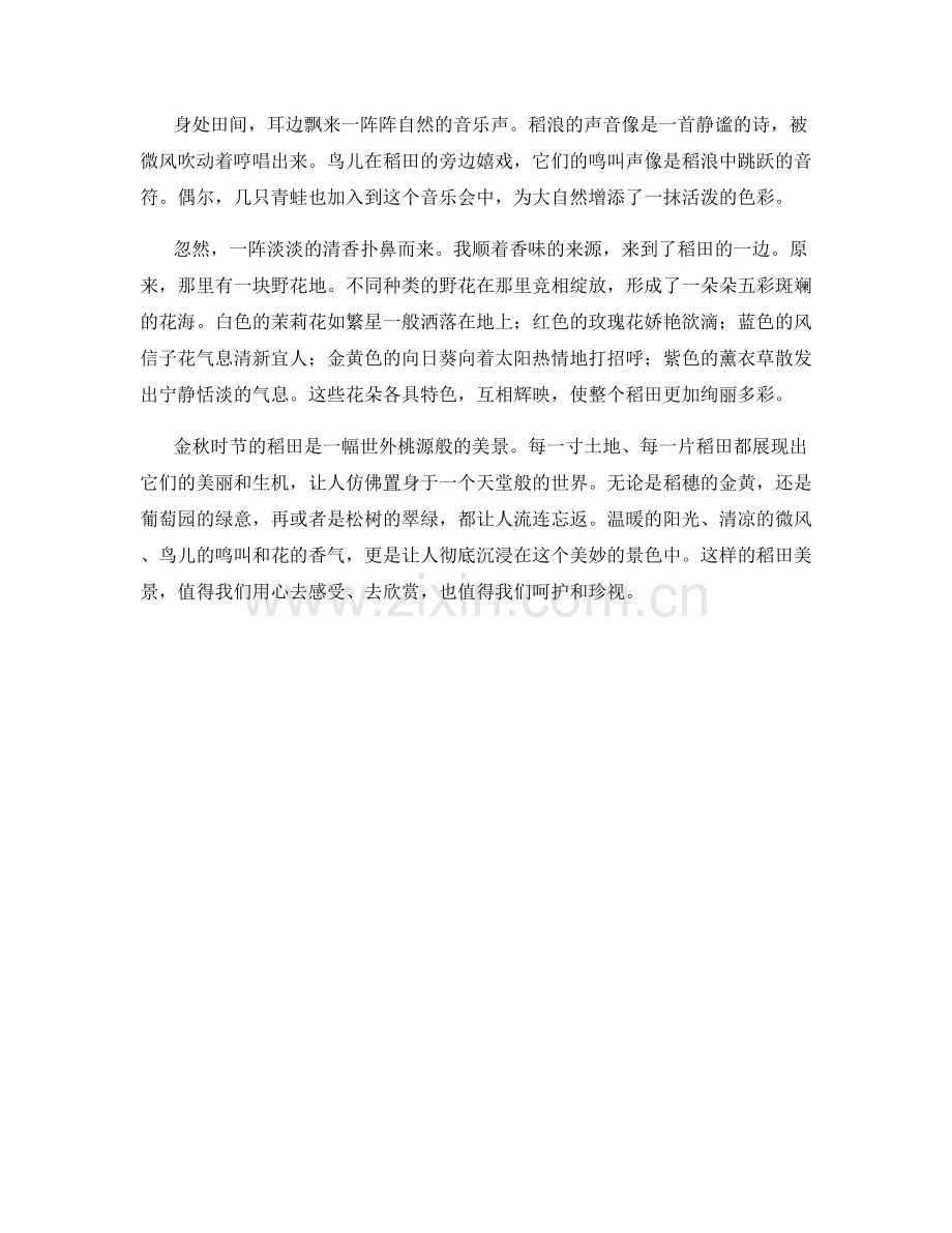 金秋时节的稻田美景.docx_第2页