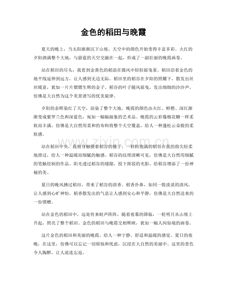 金色的稻田与晚霞.docx_第1页