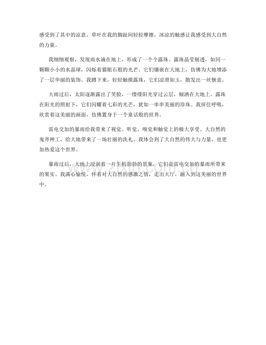 雷电交加的暴雨.docx_第2页