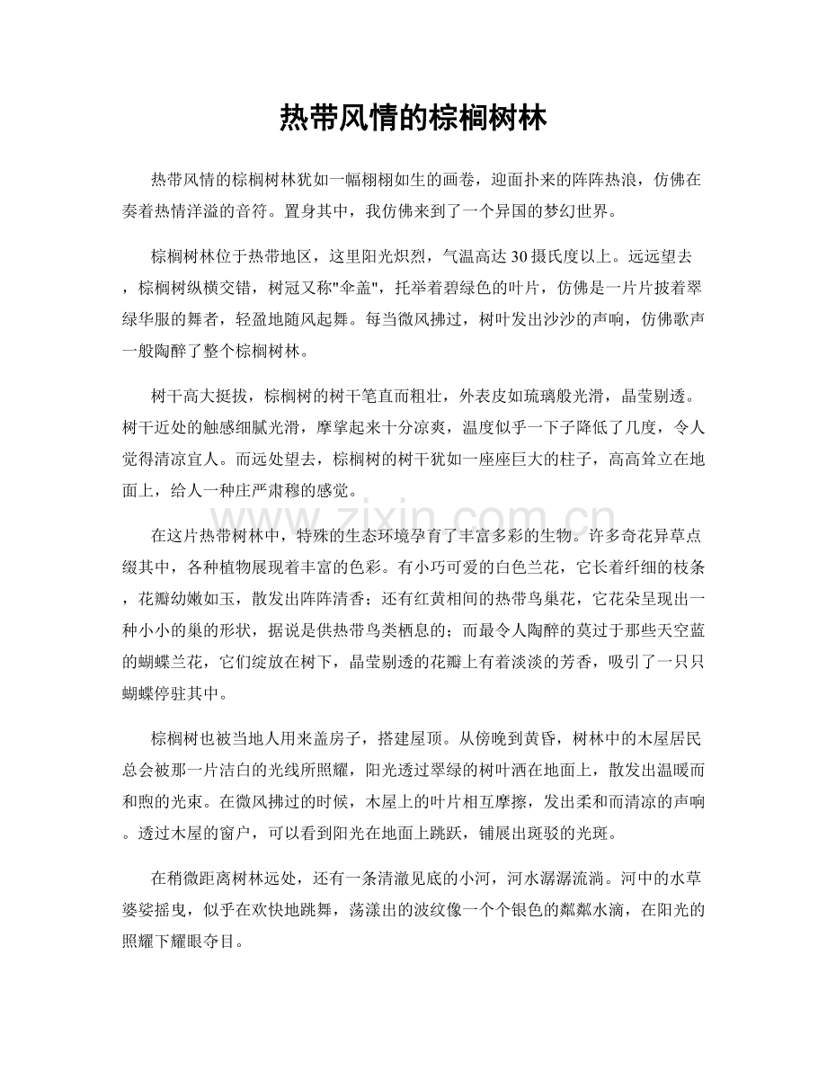 热带风情的棕榈树林.docx_第1页