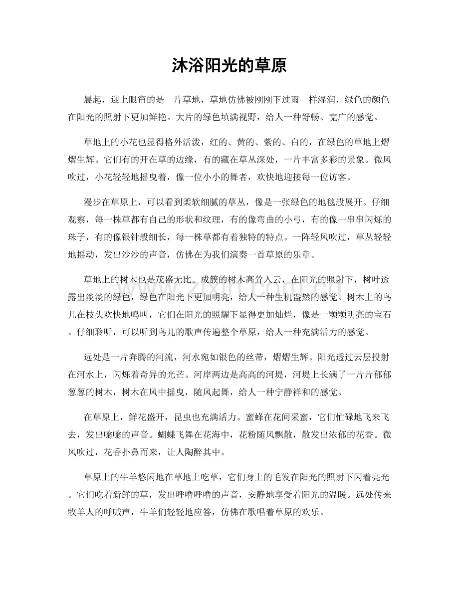 沐浴阳光的草原.docx_第1页
