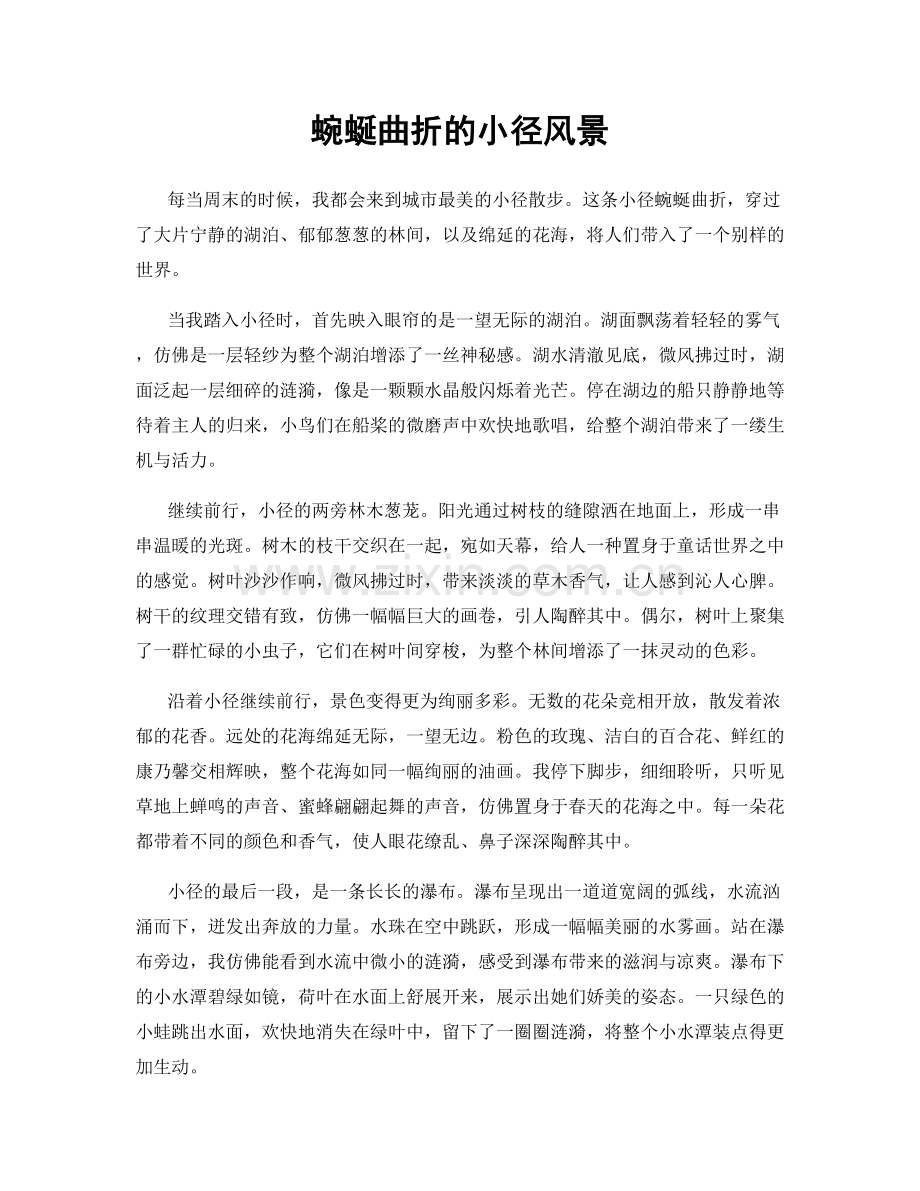 蜿蜒曲折的小径风景.docx_第1页