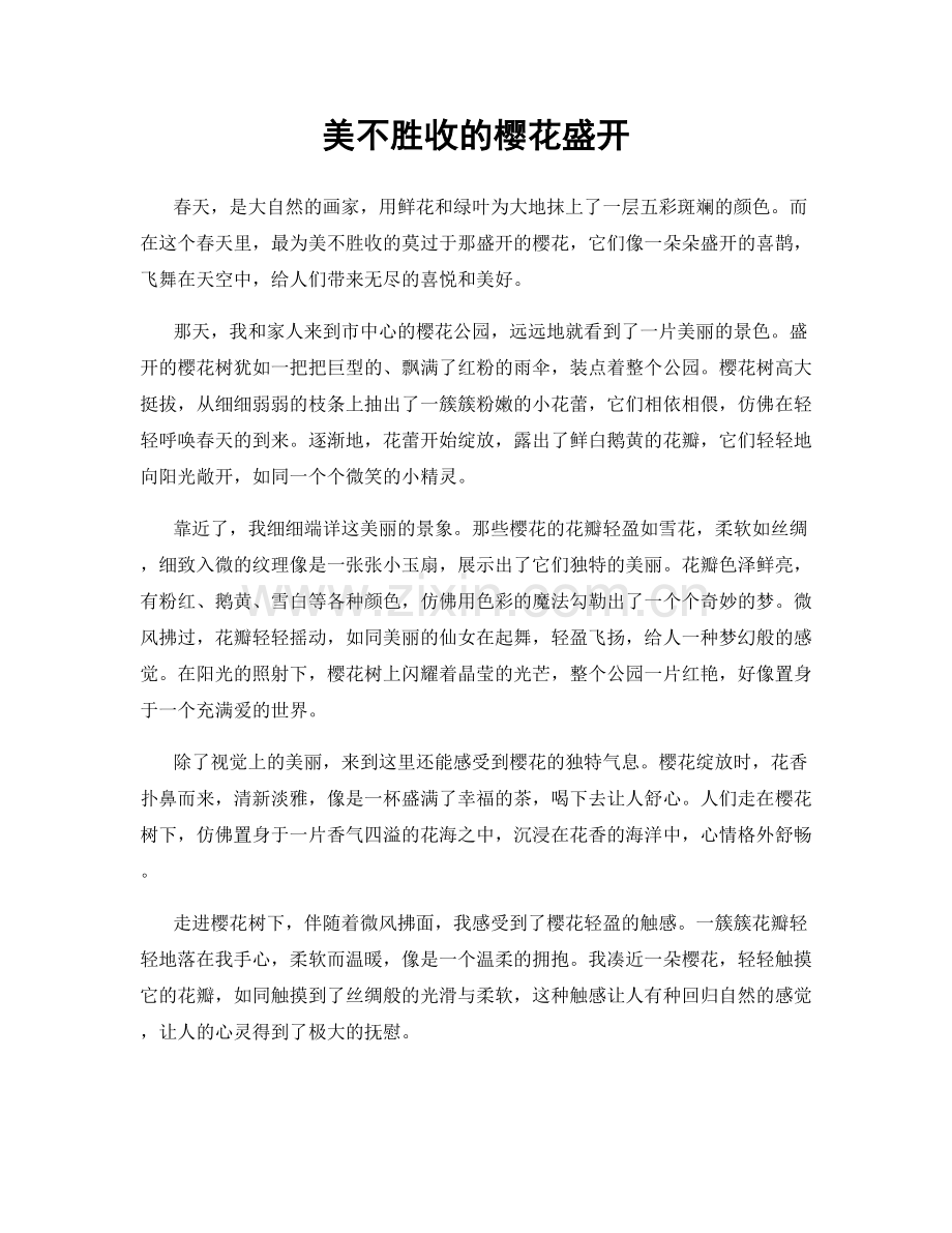 美不胜收的樱花盛开.docx_第1页