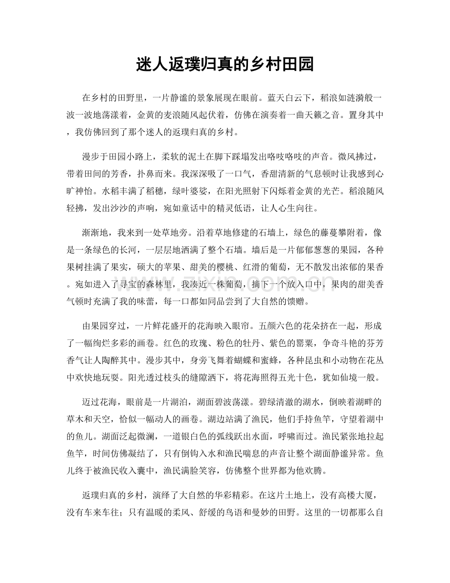 迷人返璞归真的乡村田园.docx_第1页