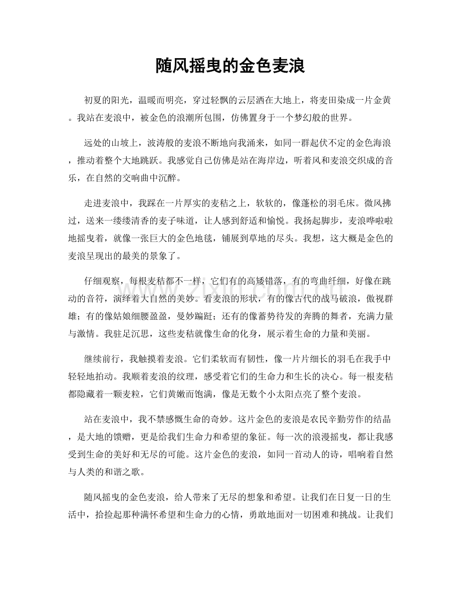 随风摇曳的金色麦浪.docx_第1页