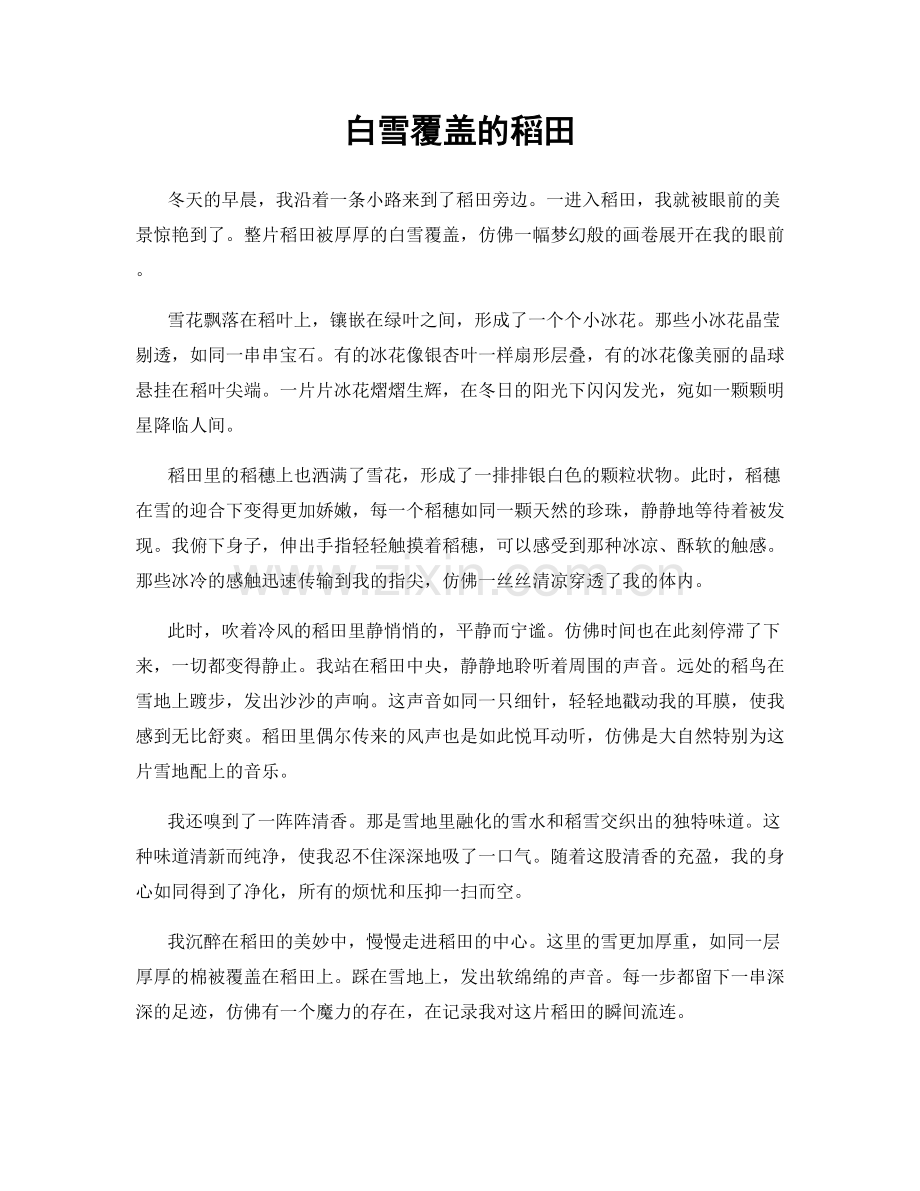 白雪覆盖的稻田.docx_第1页